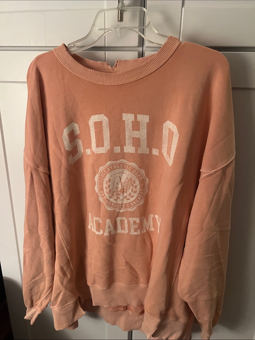 aerie Peach Graphic Crewneck Sweatshirt